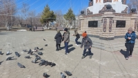 &laquo;Құстардың көктемгі әуені&raquo; - Халықаралық құстар күніне арналған музейлік шаралар топтамасы